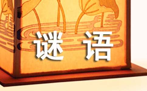 业余爱好者如何制定适合自己的篮球训练措施_2